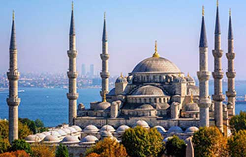 Holiday Packages